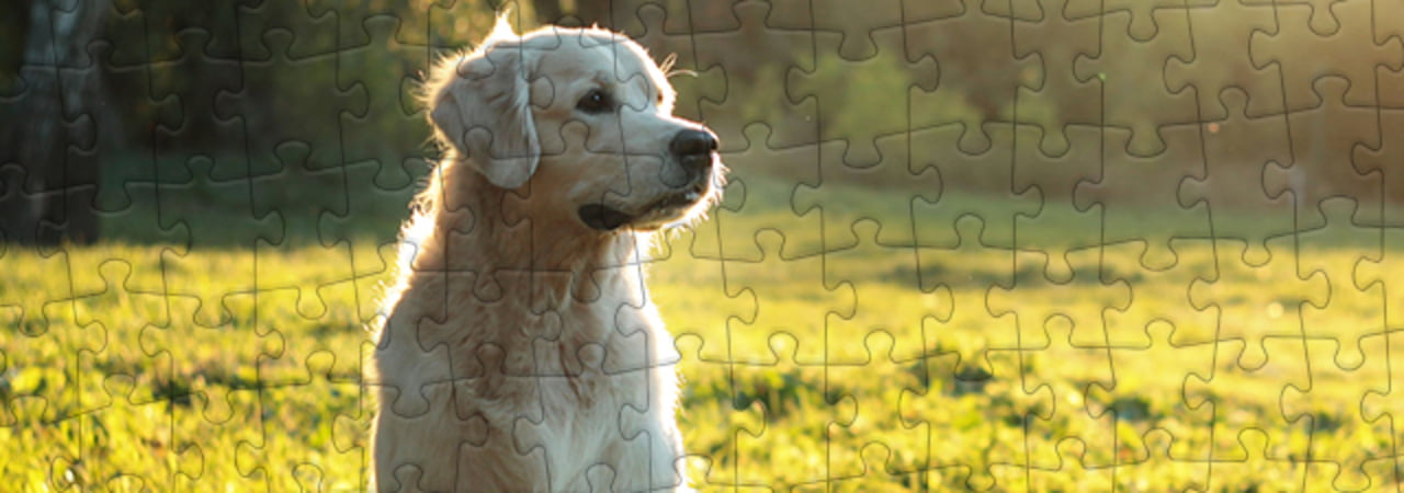 Puzzles 1000 Piece Golden Retrievers Playing By The Sea At